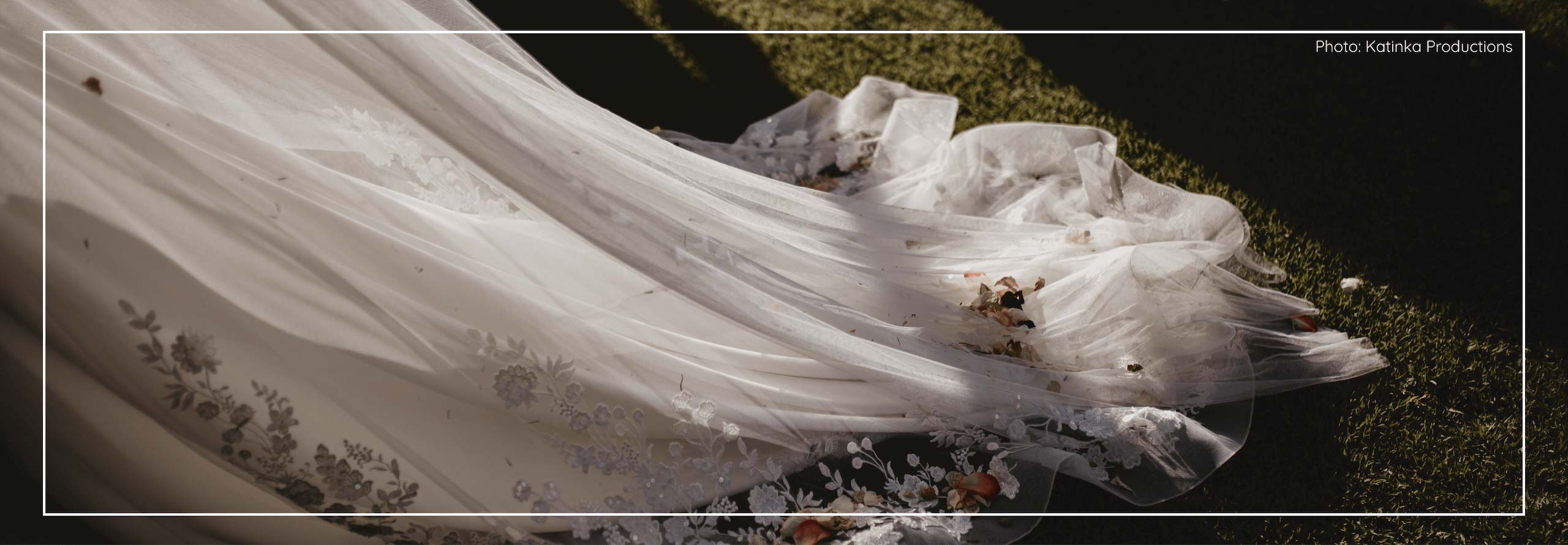 Dress Fabric