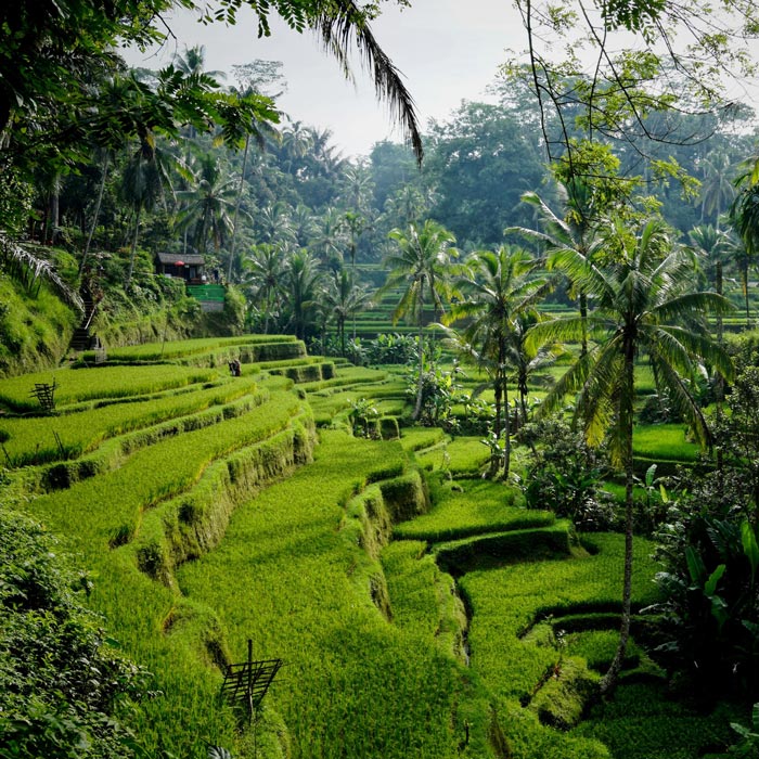 Blue Sky Destinations gallery image