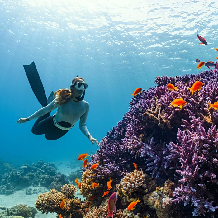 Blue Sky Destinations gallery image