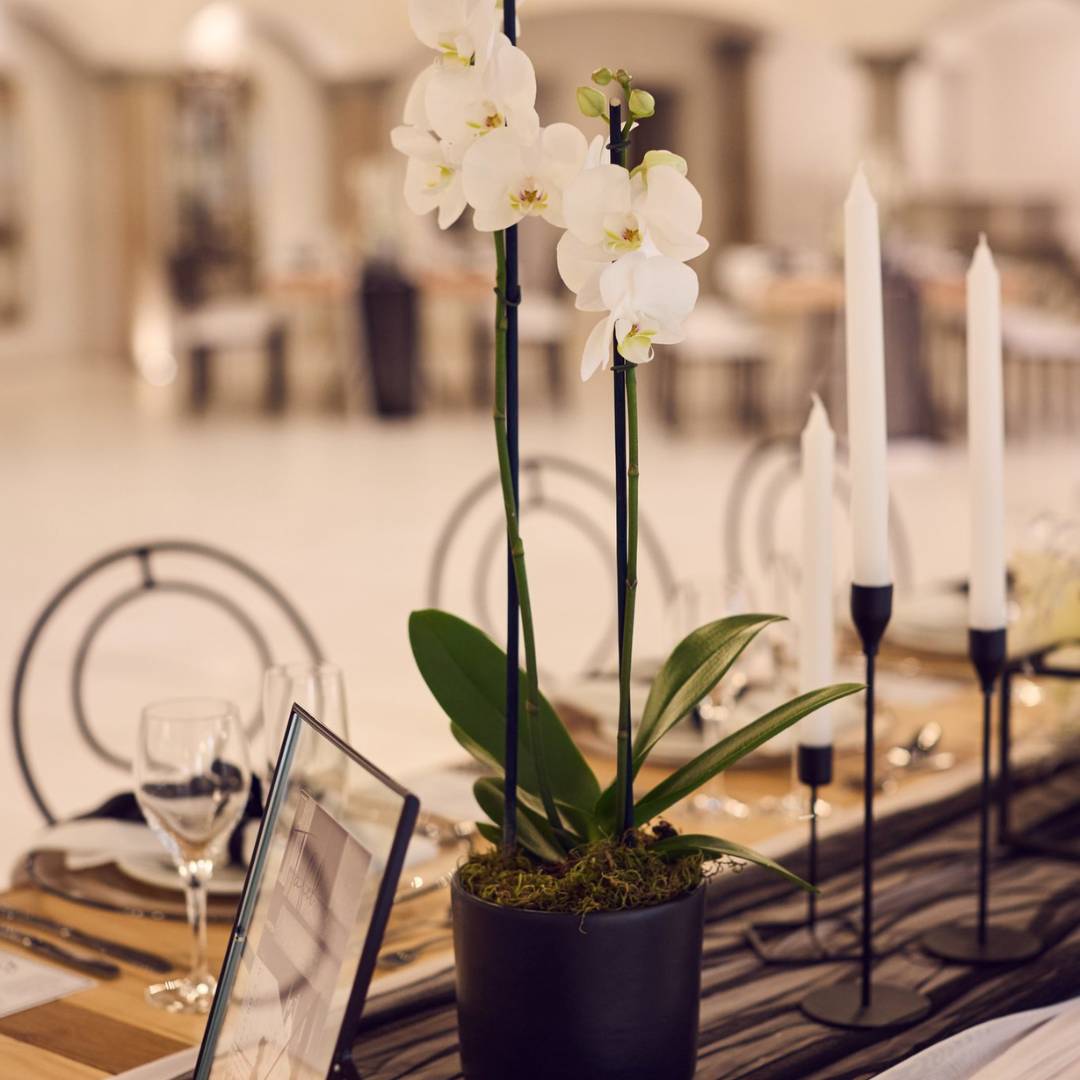 Hada Events gallery image