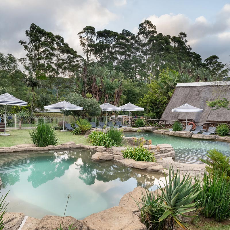 ANEW Resort Ingeli Forest gallery image