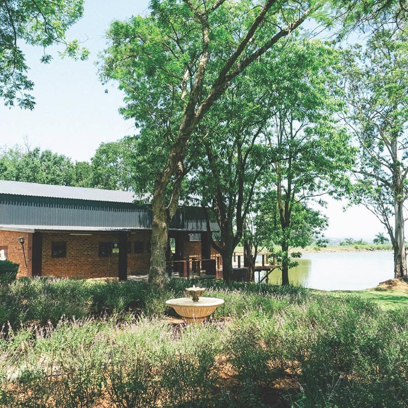 Arch and Arrow gallery image