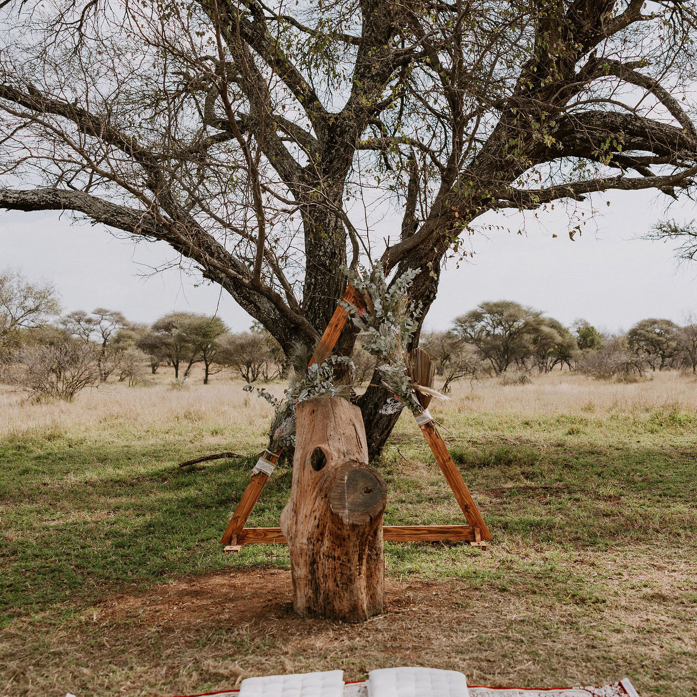 Doringrant Wedding Venue and Guest Farm gallery image