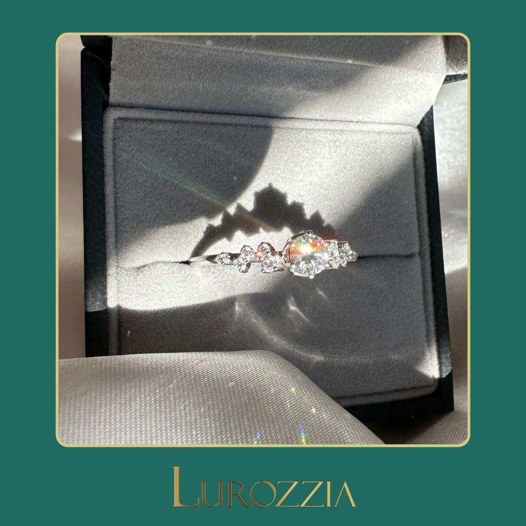 Lurozzia gallery image