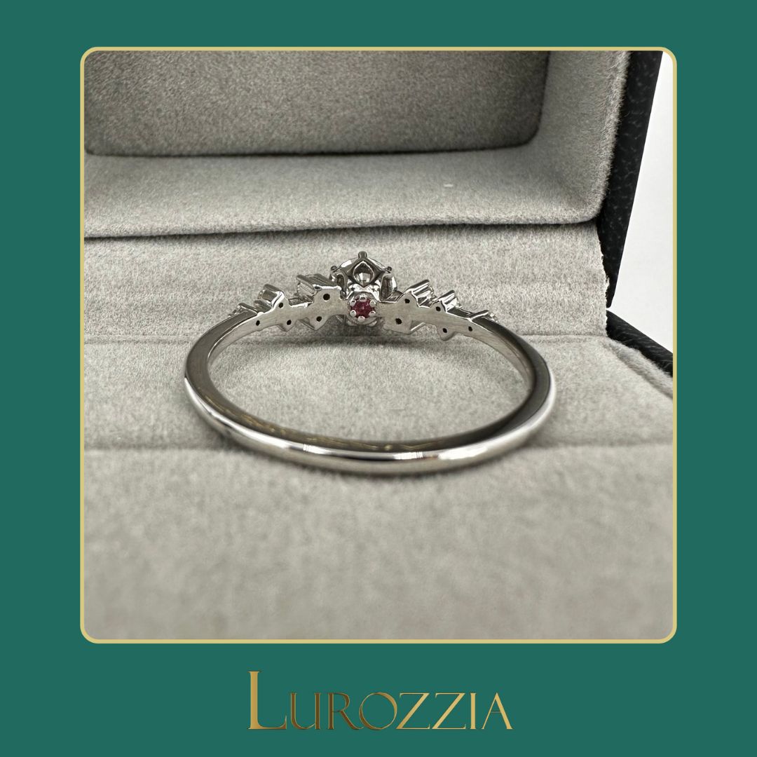 Lurozzia gallery image