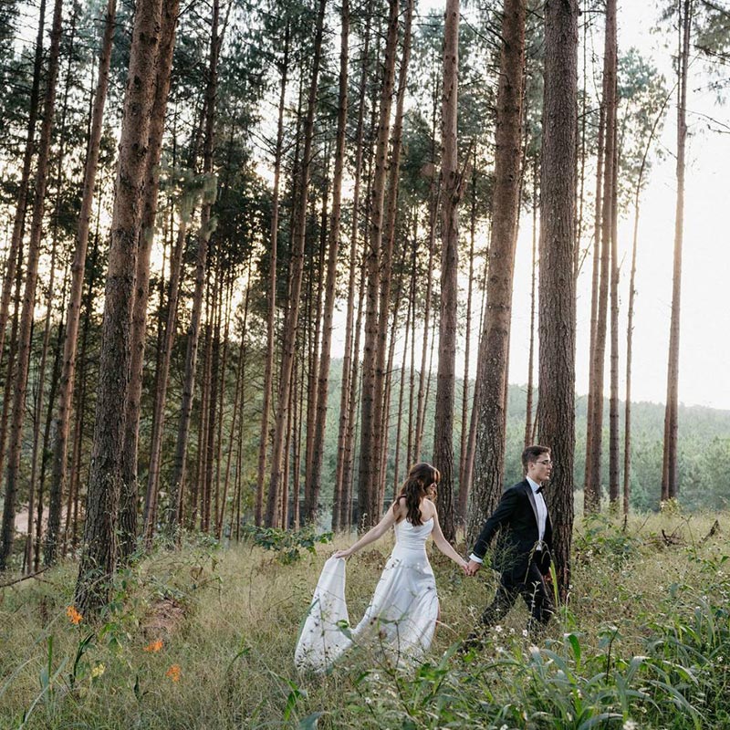 Mina\'s Farm Venue gallery image