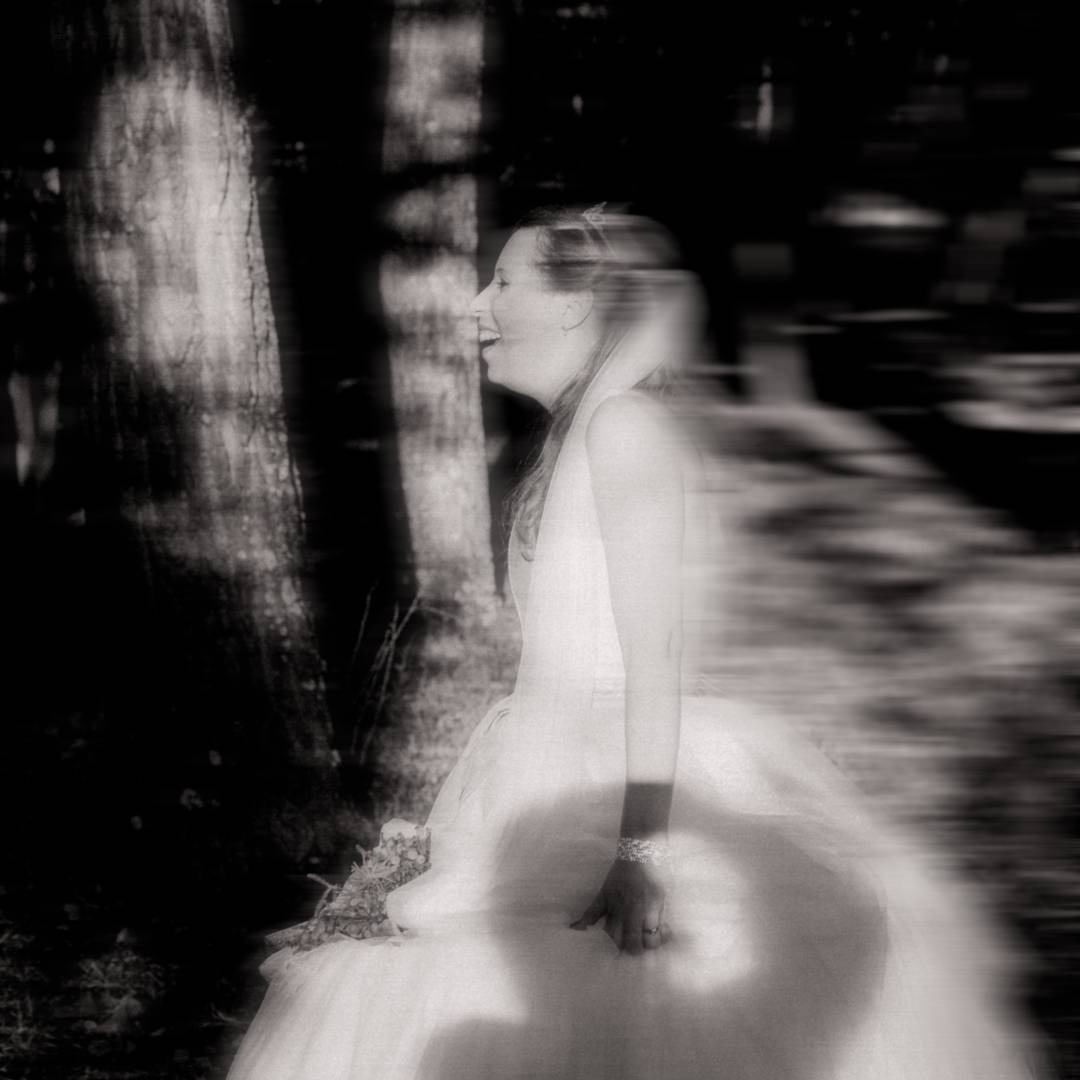 The Introvert Photographer gallery image