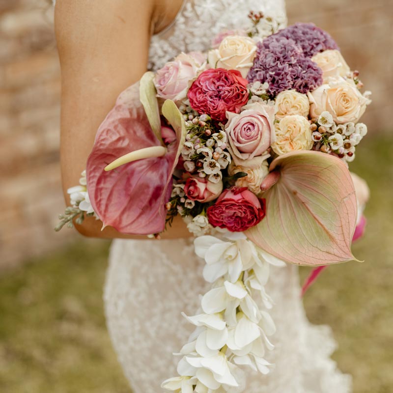 Blomme Lief gallery image