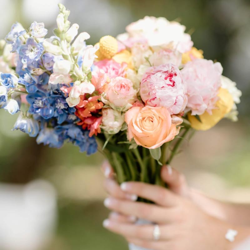 Blomme Lief gallery image