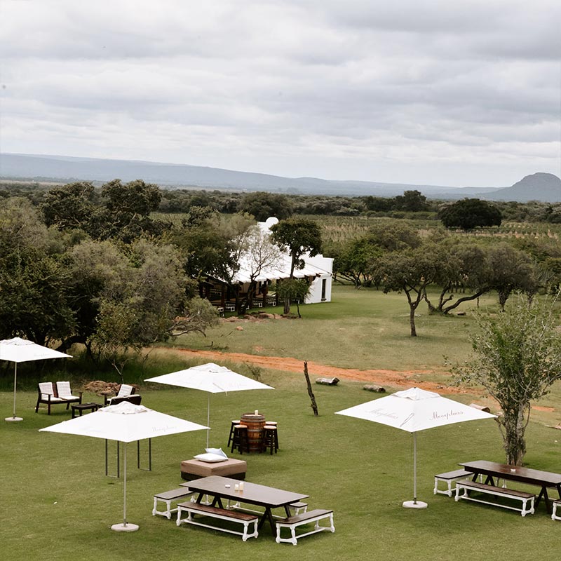 Mooiplaas gallery image