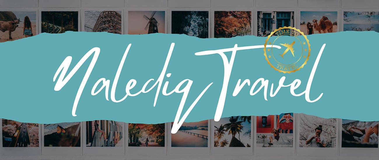 Nalediq Travel
