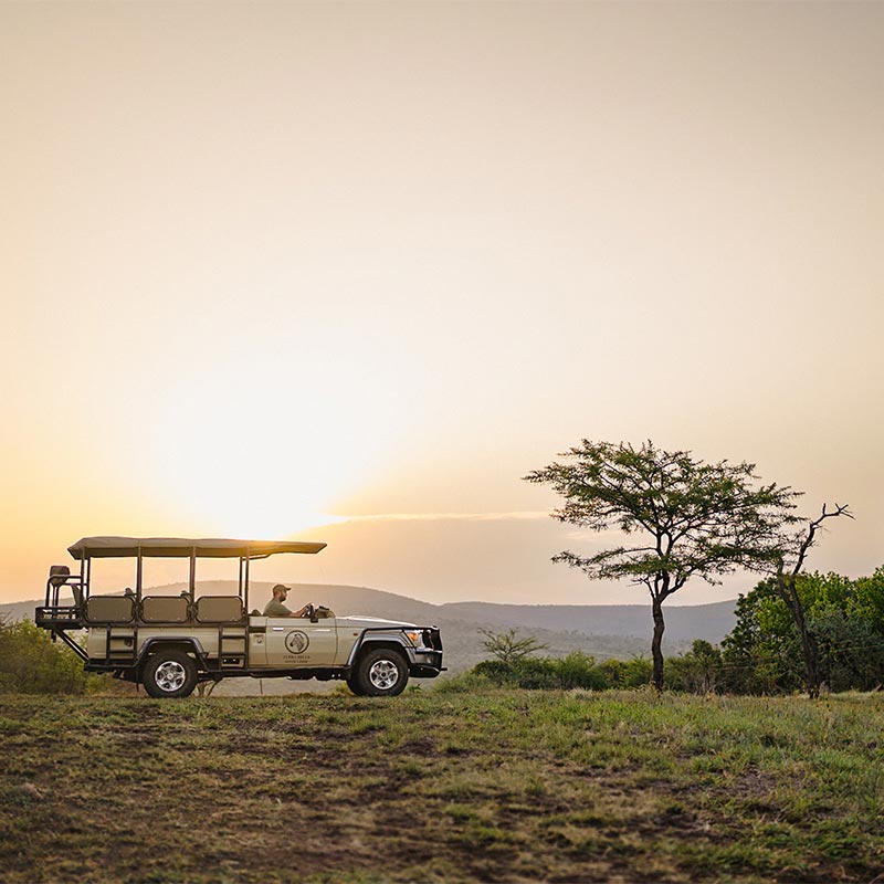 Zebra Hills Safari Lodge gallery image