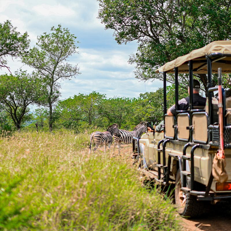 Zebra Hills Safari Lodge gallery image