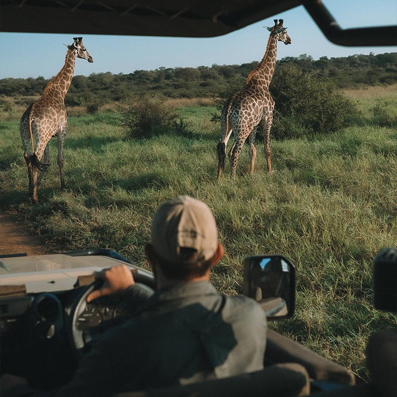 Zebra Hills Safari Lodge gallery image