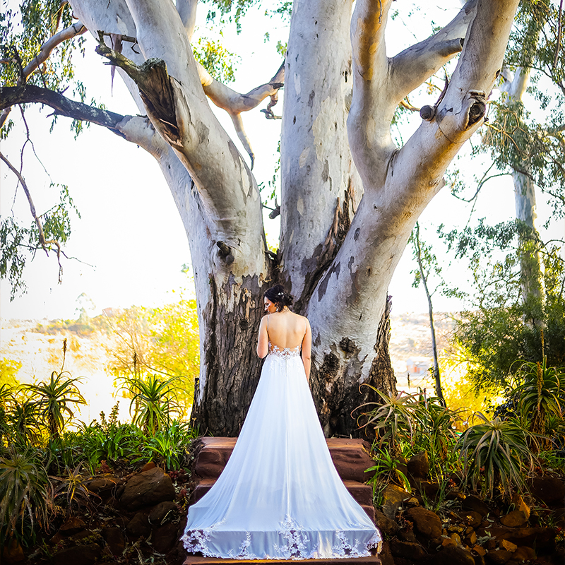 Kuungana Bush Lodge gallery image