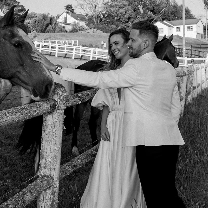 Willow Tree Photography gallery image