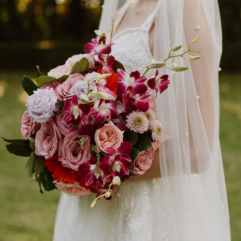 Willow Tree Photography gallery image