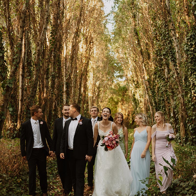 Willow Tree Photography gallery image