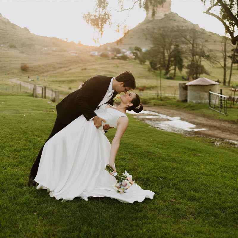 Willow Tree Photography gallery image