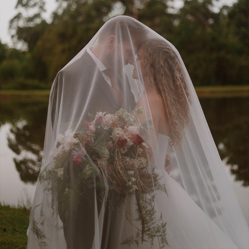 Willow Tree Photography gallery image