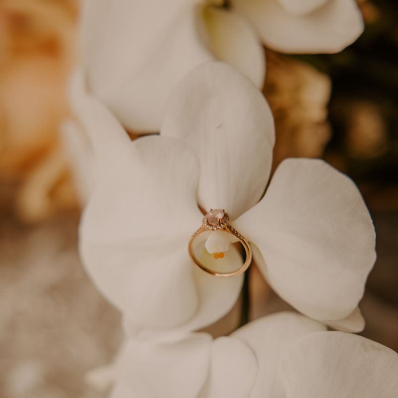 Gene Photography gallery image